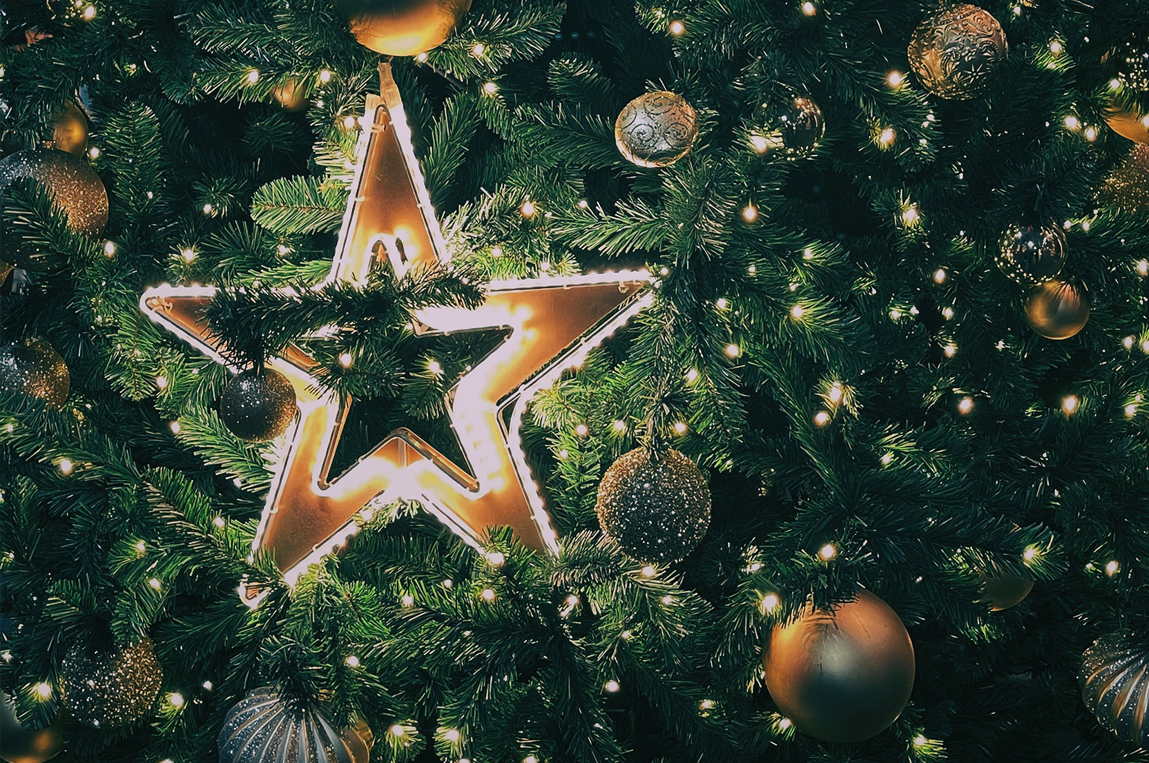 Merry Christmas From BIS To All Our Clients BIS Indemnity Solutions 